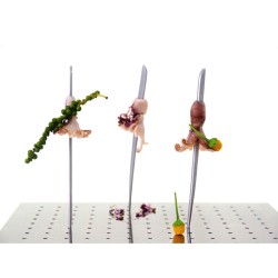 Soporte Inox 169 Brochetas | Acero Inoxidable para Catering y Buffets