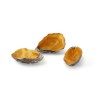 Hand Painted Oyster Shell Crockery - Old Gold and Copper Finish