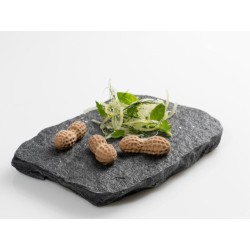 Molde de silicona Cacahuete para snacks y guarniciones | 100% Chef