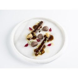 Molde de silicona Castaña para piezas miméticas | 100% Chef