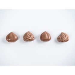 Molde de silicona Castaña para piezas miméticas | 100% Chef