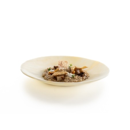 Alabaster glass Plate